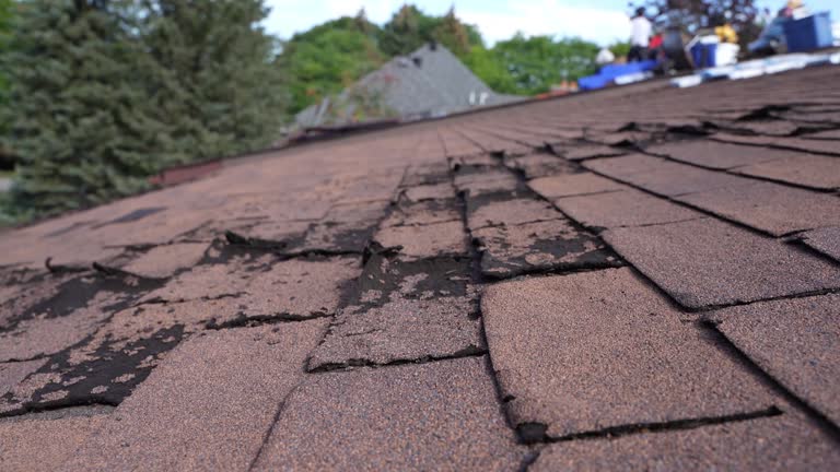 Best Tile Roofing Installation  in Wickliffe, OH