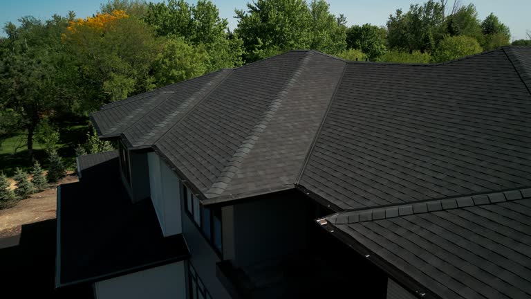 Best Roof Moss and Algae Removal  in Wickliffe, OH