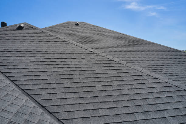 Best Roof Moss and Algae Removal  in Wickliffe, OH